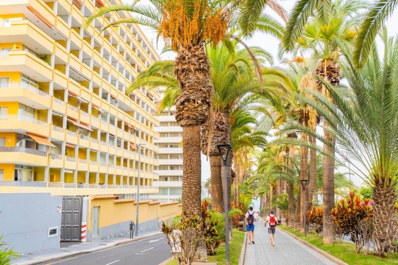 Live Puerto De La Cruz Las Palmeras المظهر الخارجي الصورة